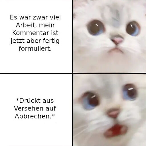 Katze oben, erschöpft und zufrieden: "Es war zwar viel Arbeit, mein Kommentar ist jetzt aber fertig formuliert." Katze unten, panisch: "*Drückt aus Versehen auf Abbrechen.*"