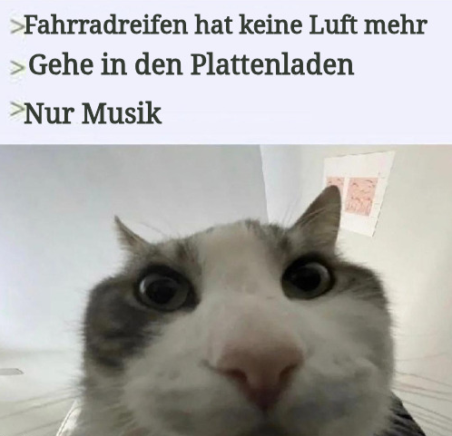 "Fahrradreifen hat keine Luft mehr", "Gehe in den Plattenladen", "Nur Musik", verstörte Gadse.