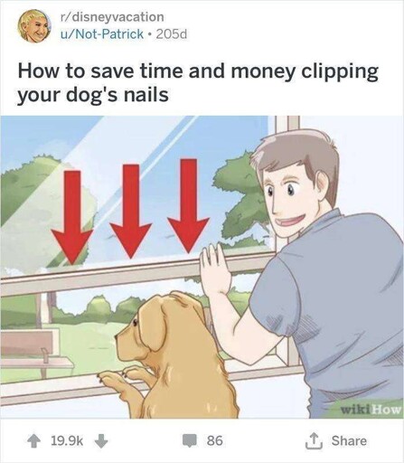  pro tip