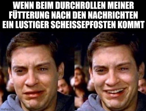 Wenn beim Durchrollen meiner Fütterung nach den Nachrichten ein lustiger Scheißepfosten kommt: 😭 🥹