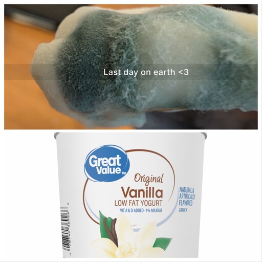 Mold from Walmart brand Great Value Yogurt 